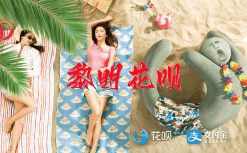 一目扫过（目光迅速扫过）花呗